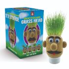 Grow Your Own - Grass Head
