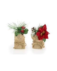 Christmas Plant in Jute Sack - Set of 2